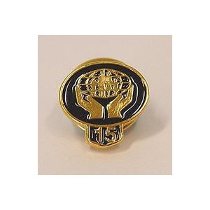 Lapel Pin - Gold 15 Year Classic